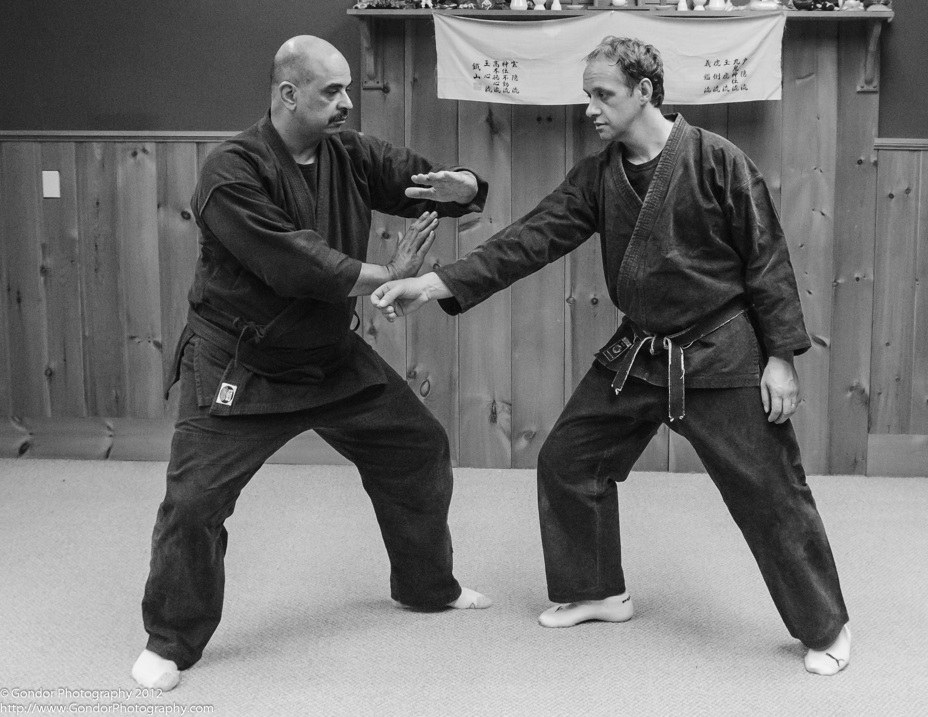 ninpo taijutsu body skill training for self defense boston