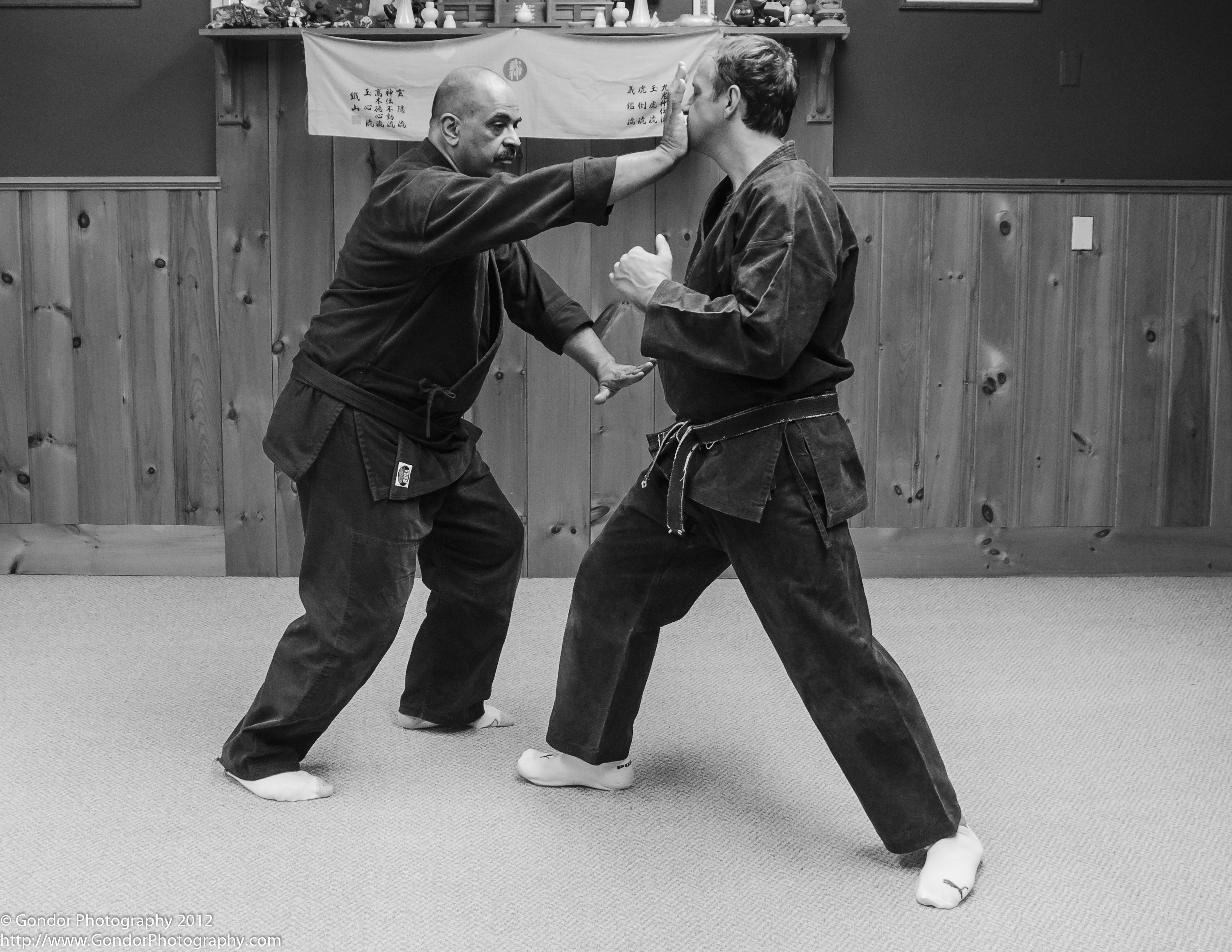fundamental and advance of ninpo taijutsu bootcamp at boston martial