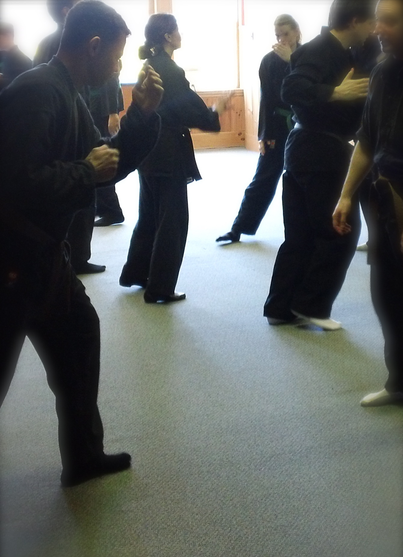 Ninpo Taijutsu (Body skill training for Self Defense martial arts