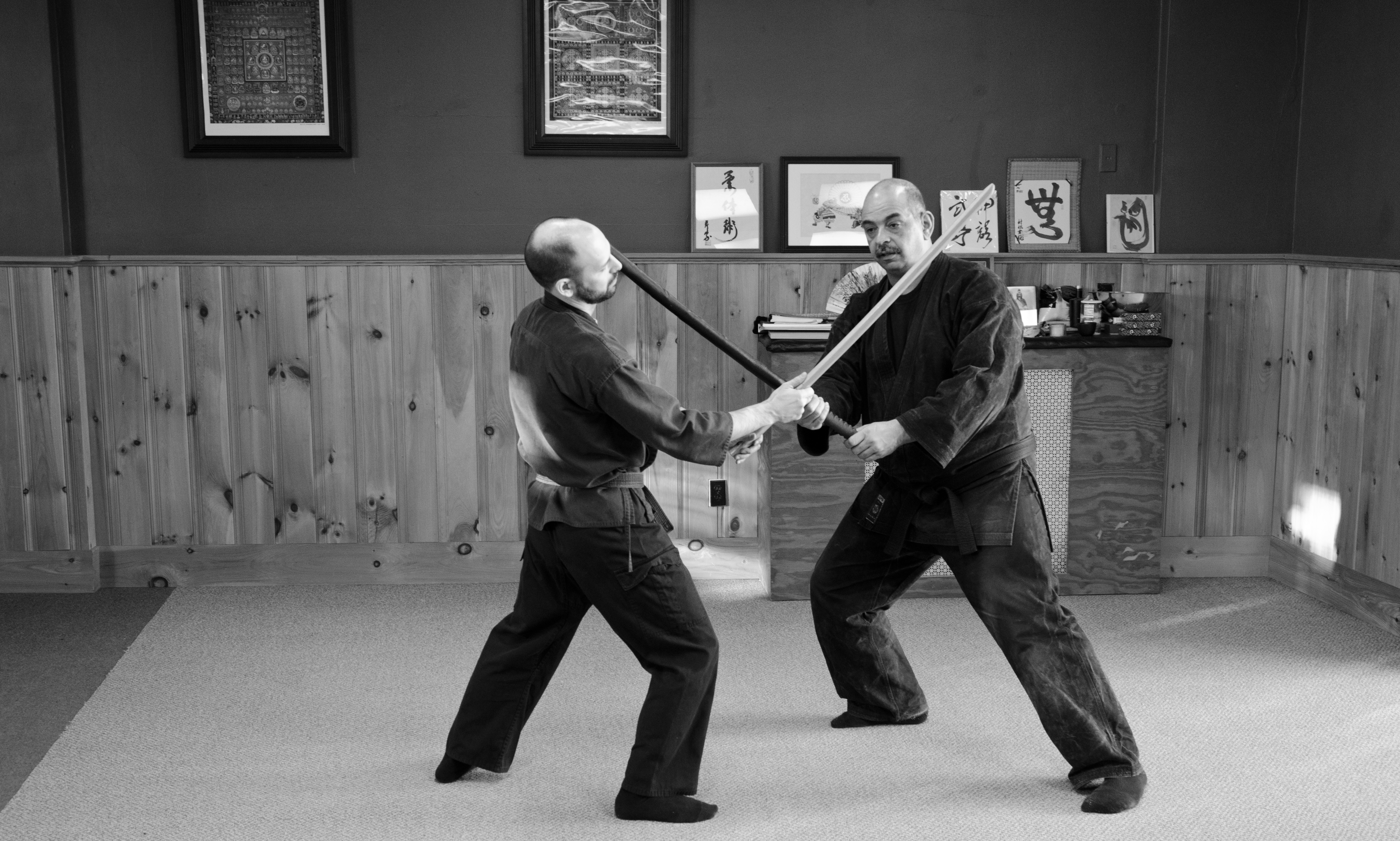 Ninpo Taijutsu Can be a Transformative Experience